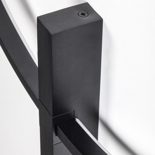 Накладной светильник Lightstar Undine 738567 в Нижнем Новгороде фото 9