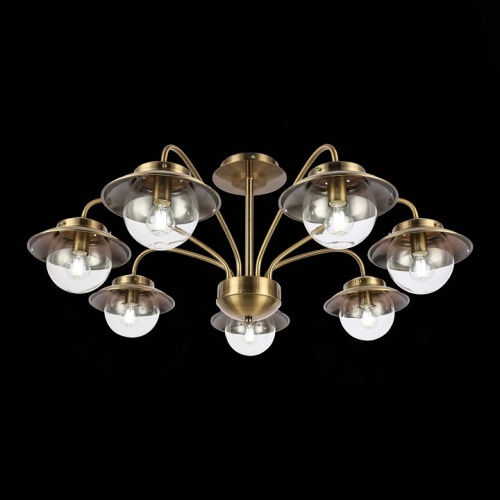 Потолочная люстра EVOLUCE Garonni SLE110102-07 в Нижнем Новгороде фото 5