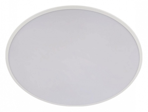 Накладной светильник Loft it Brim 10226 White в Нижнем Новгороде фото 6