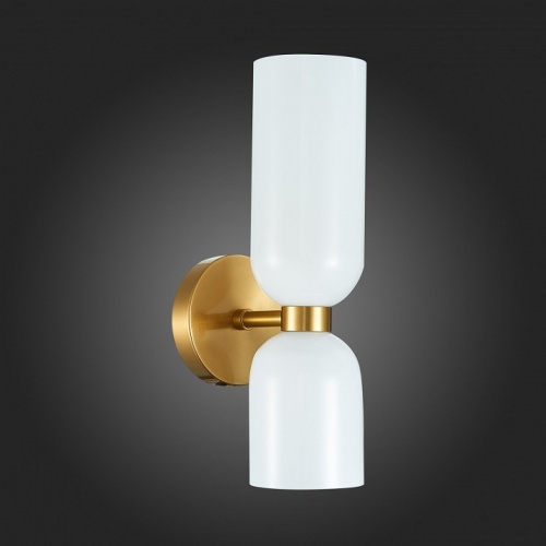 Бра ST-Luce Treviso SL1180.201.02 в Нижнем Новгороде фото 6