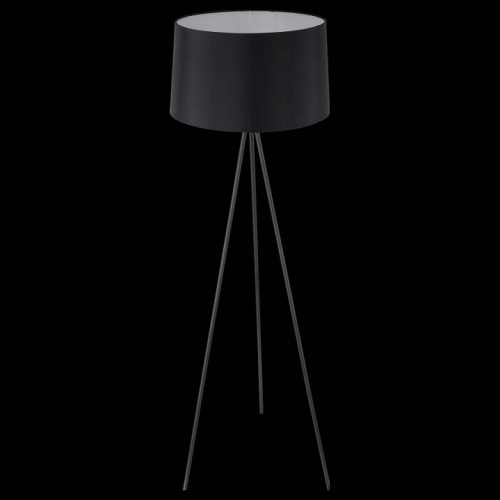 Торшер Freya Bonita FR5152-FL-01-B в Нижнем Новгороде фото 6