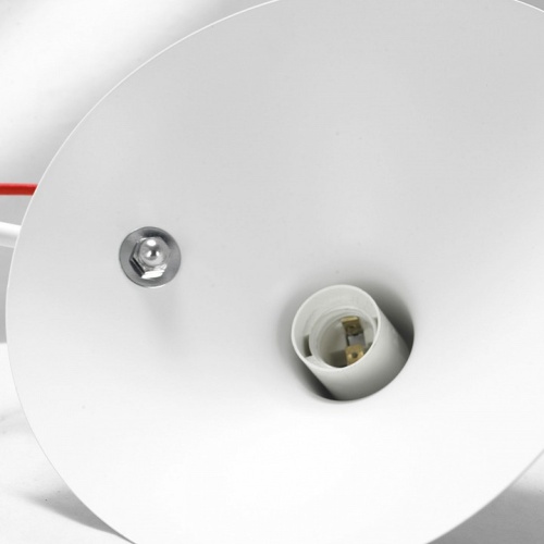 Потолочная люстра Lussole Navajo GRLSP-8126 в Нижнем Новгороде фото 5