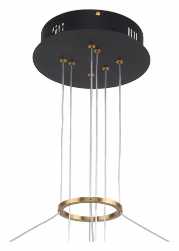 Подвесная люстра F-promo Daur 3097-8P в Нижнем Новгороде фото 2