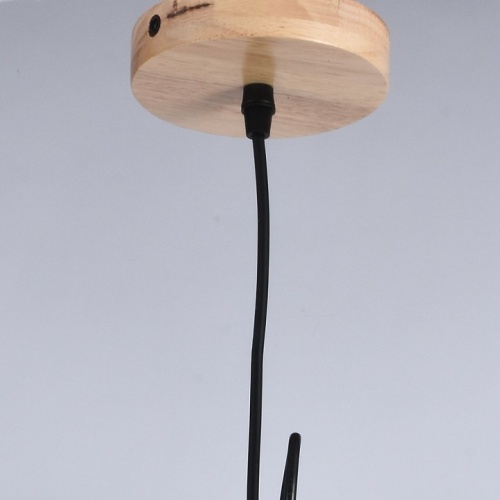 Подвесной светильник ILLUMICO  IL1011-1P-05 BK в Нижнем Новгороде фото 2