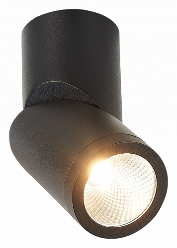 Светильник на штанге ST-Luce ST650 ST650.442.10 в Нижнем Новгороде фото 2