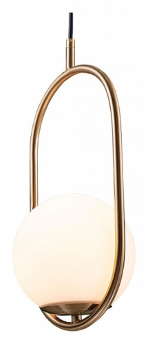 Подвесной светильник Loft it Glob LOFT2595-A в Нижнем Новгороде фото 3