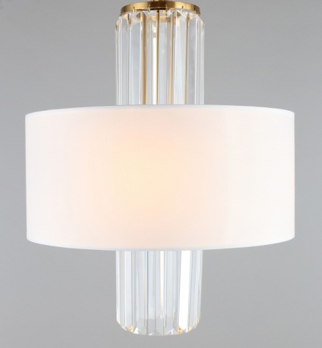 Подвесной светильник Aployt Karola APL.841.13.04 в Нижнем Новгороде фото 4