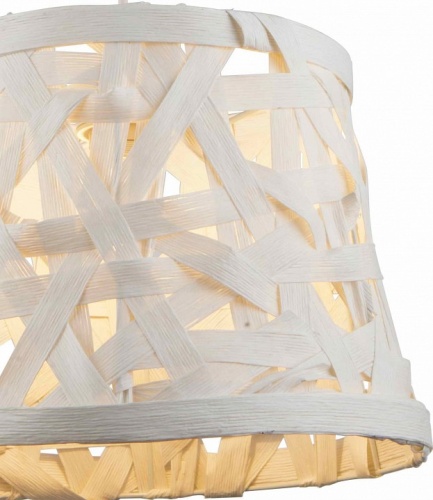 Подвесной светильник TopLight Patricia TL1122-1H в Нижнем Новгороде фото 3