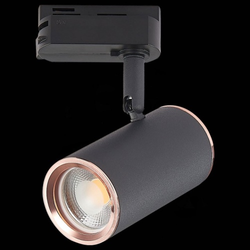 Светильник на штанге ST-Luce Cromi ST301.426.01 в Нижнем Новгороде фото 9