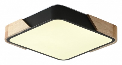 Накладной светильник Zortes Alberro ZRS.01281.60 в Нижнем Новгороде фото 5