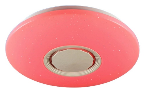 Накладной светильник Ambrella Light FF FF201 в Нижнем Новгороде фото 2