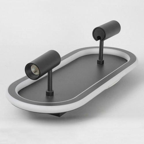 Накладной светильник LGO Harris LSP-7282 в Нижнем Новгороде фото 4