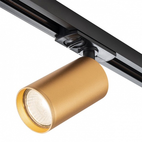 Светильник на штанге Escada 20001 20001TRA/01 BR в Нижнем Новгороде фото 5