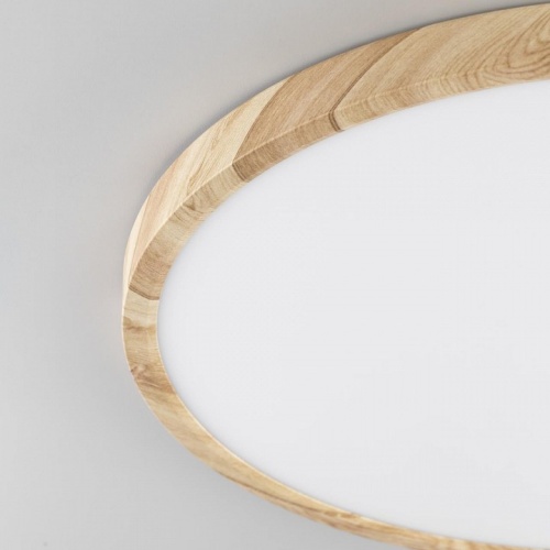 Накладной светильник Citilux Бейсик CL738322V в Нижнем Новгороде фото 4