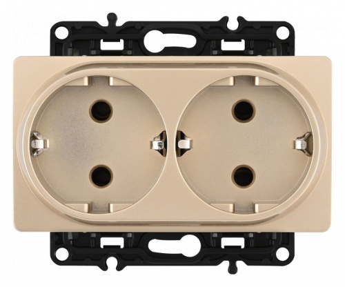 Розетка двойная с заземлением, без рамки Arte Milano am-217 217.40-2.shampan в Нижнем Новгороде