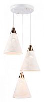 Подвесной светильник Ambrella Light TR TR8433 в Нижнем Новгороде