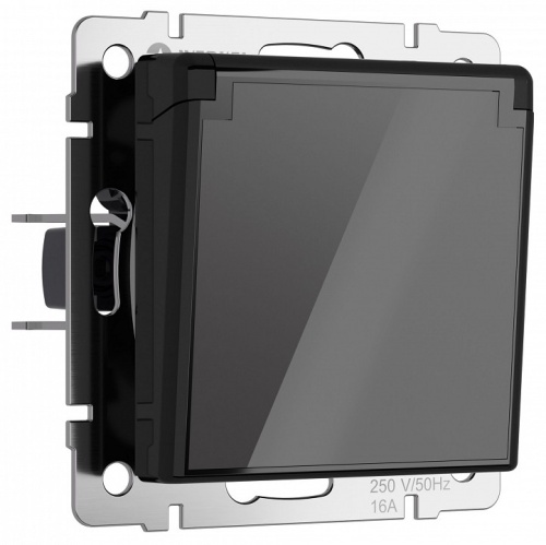 Розетка влагозащищенная с заземлением и со шторками, без рамки с крышкой Werkel черный акрил W1171248 в Нижнем Новгороде