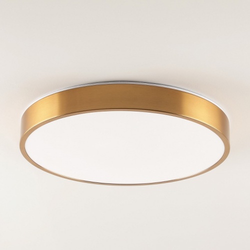 Накладной светильник Zortes Tortty ZRS.02566.72 в Нижнем Новгороде фото 5