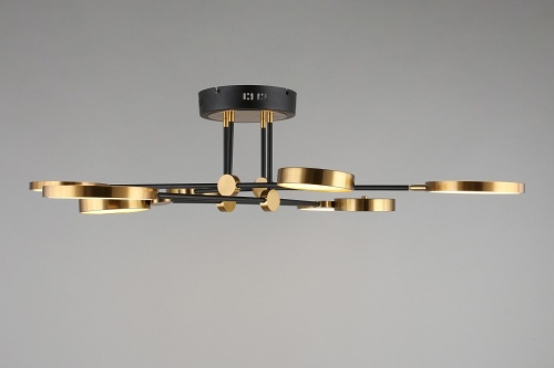 Потолочная люстра Aployt Ines APL.043.07.65 в Нижнем Новгороде фото 8