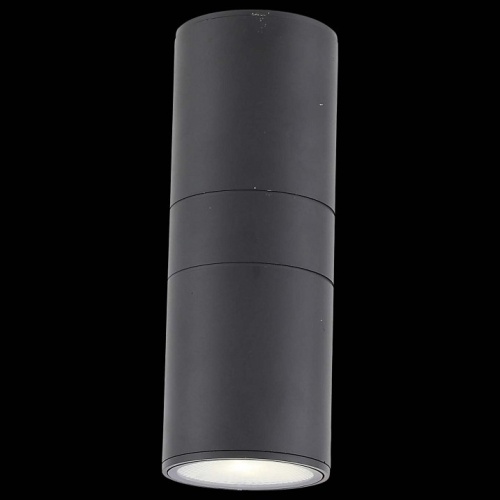 Накладной светильник ST-Luce Tubo 2 SL074.411.02 в Нижнем Новгороде фото 4