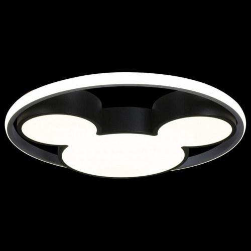 Накладной светильник Loft it Mike 10165 в Нижнем Новгороде фото 2