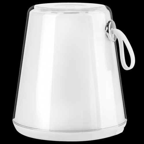 Настольная лампа декоративная Lightstar Alfa 745950 в Соколе фото 9