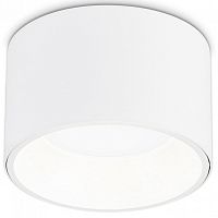 Накладной светильник Ambrella Light TN TN52892 в Нижнем Новгороде