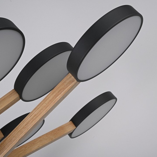 Люстра на штанге Imperiumloft TURNA Black TURNA-DBL01 в Нижнем Новгороде фото 12