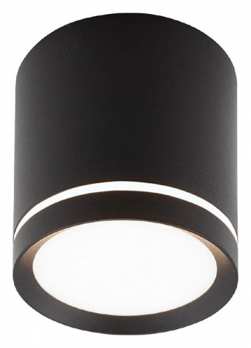 Накладной светильник Denkirs DK401 DK4013-BK в Нижнем Новгороде фото 6