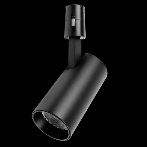 Светильник на штанге Lightstar Due Hermes 210147 в Нижнем Новгороде фото 2