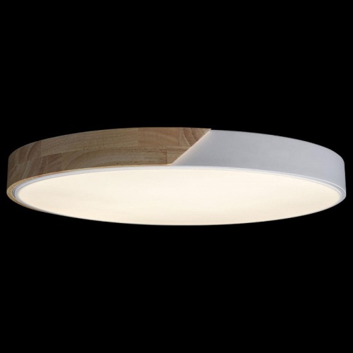 Накладной светильник Loft it Axel 3 10004/36 White в Нижнем Новгороде фото 5