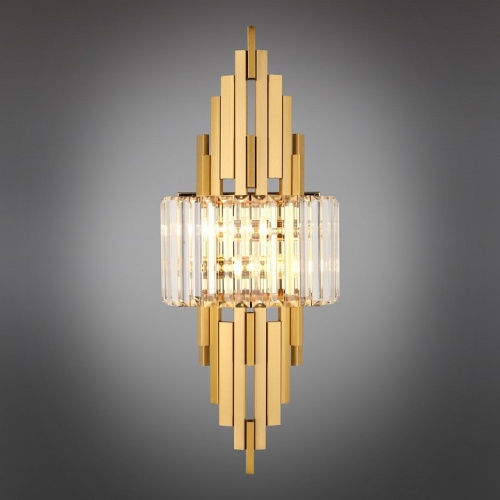 Накладной светильник Aployt Ornella APL.642.11.02 в Нижнем Новгороде фото 2