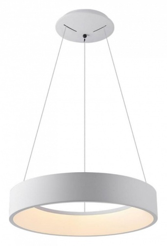 Подвесной светильник Aployt Michell APL.052.03.60 в Нижнем Новгороде фото 2