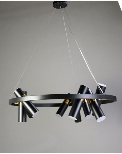 Подвесная люстра Zortes Tweeny ZRS.1828.80 в Нижнем Новгороде фото 3