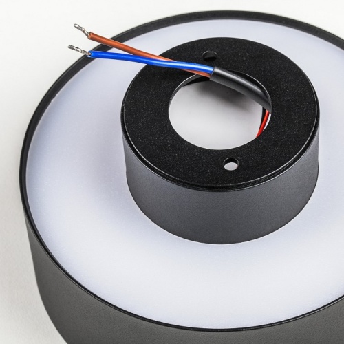 Накладной светильник Lightstar Acuto 215937 в Нижнем Новгороде фото 6