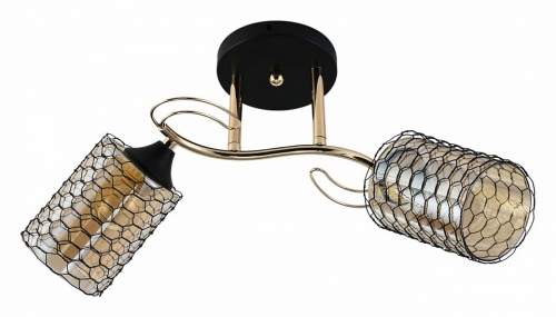 Светильник на штанге 01309-0.3-02 BK+FGD в Нижнем Новгороде