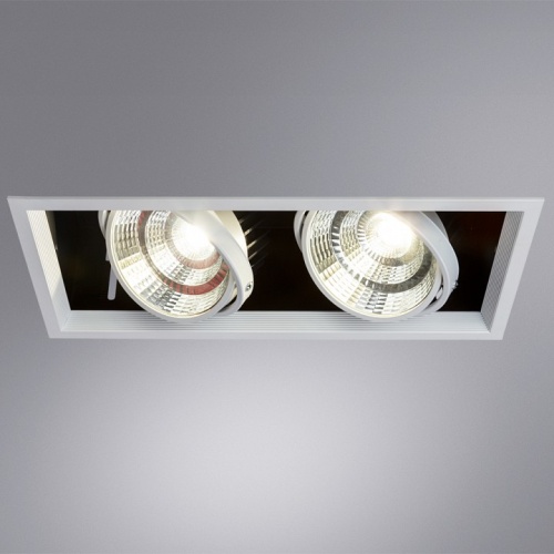 Встраиваемый светильник Arte Lamp Merga A8450PL-2WH в Брянске фото 4