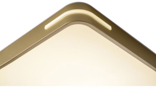 Накладной светильник Zortes Gabby ZRS.1215.04 в Нижнем Новгороде фото 13