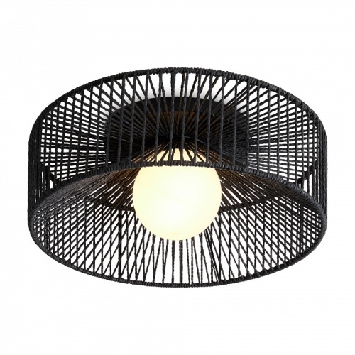 Накладной светильник Freya Cottage FR5405CL-01B в Нижнем Новгороде фото 2