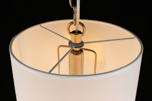 Подвесной светильник Aployt Franula APL.724.06.01 в Нижнем Новгороде фото 16