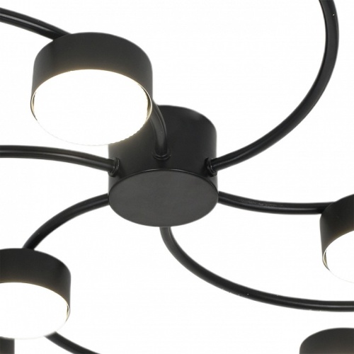 Потолочная люстра Escada 1180 1180/9P в Нижнем Новгороде фото 2