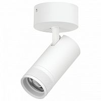 Спот Lightstar Canno Pro C4306SO в Нижнем Новгороде