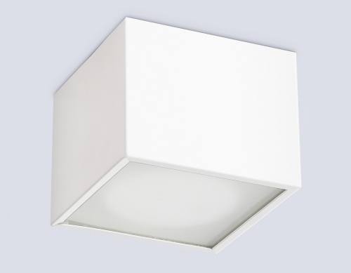 Накладной светильник Ambrella Light TN TN6530 в Нижнем Новгороде фото 3