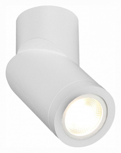 Светильник на штанге ST-Luce ST650 ST650.502.01 в Нижнем Новгороде фото 4