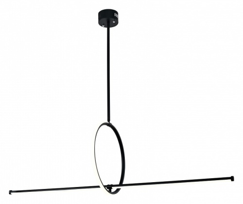 Светильник на штанге Zortes Dasy ZRS.57787.49 в Нижнем Новгороде фото 5