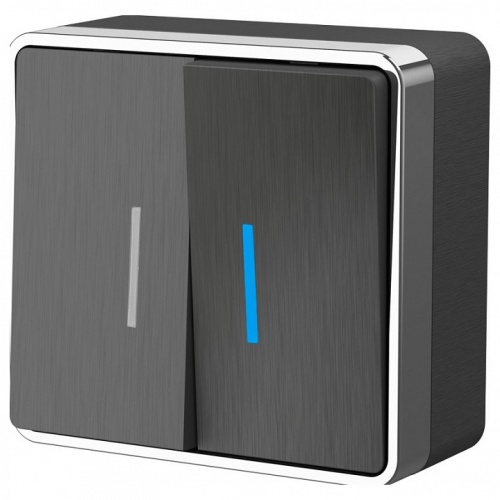 Выключатель двухклавишный с подсветкой Werkel Gallant (графит рифленый) W5020104 в Нижнем Новгороде