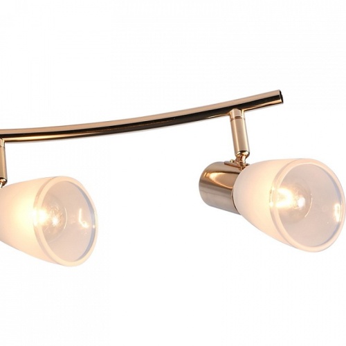 Люстра на штанге  05947-0.8-04 FGD в Нижнем Новгороде фото 4