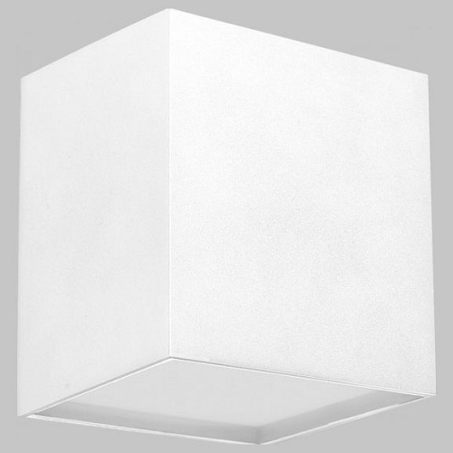 Накладной светильник Imex Copo IL.0005.3000-WH в Нижнем Новгороде