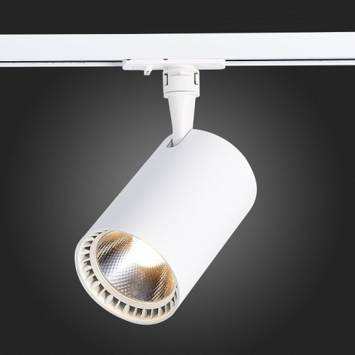 Светильник на штанге ST-Luce Cami ST351.536.30.24 в Нижнем Новгороде фото 2