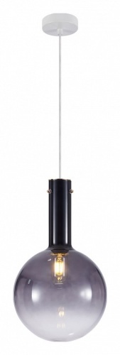 Подвесной светильник Favourite Alba 4103-1P в Симе фото 4